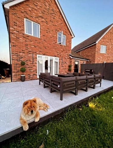 Harry Hardscapes Landscaping Project